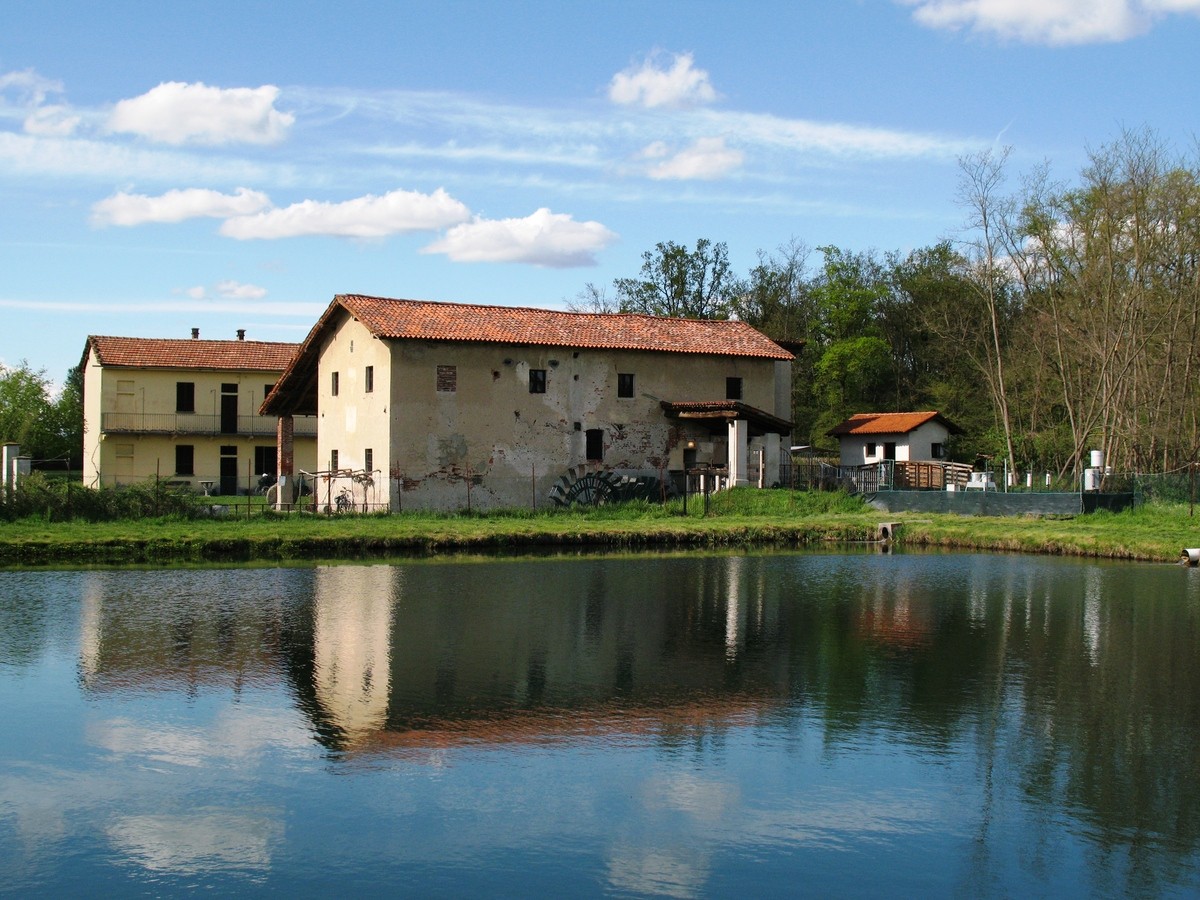 Al Mulino Vecchio di Bellinzago Novarese una giornata all'insegna della tradizione rurale