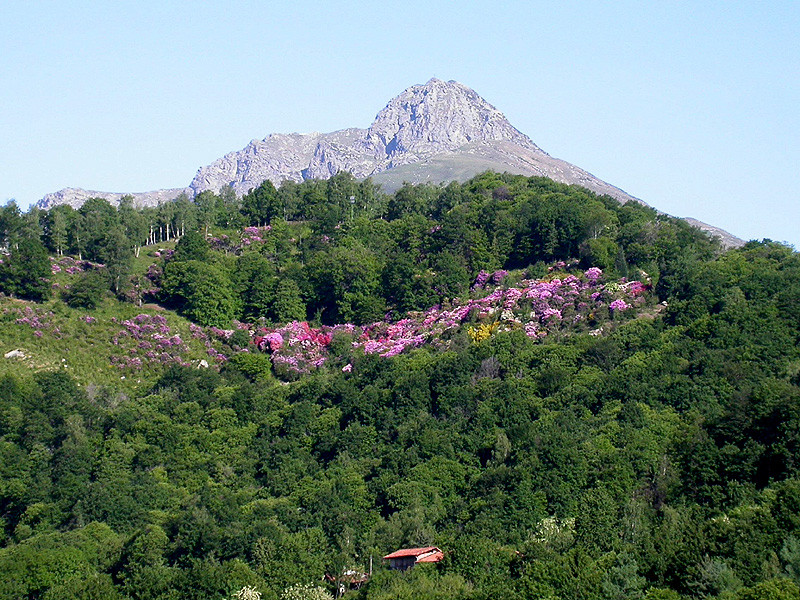 Il 19 luglio presso la Cascina Emilia a Pollone si terrà l