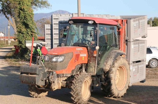 Coldiretti Piemonte: "Proroga triennale agricoltura 4.0 consente nuove opportunità alle imprese” Coldiretti Piemonte: "Proroga triennale agricoltura 4.0 consente nuove opportunità alle imprese”