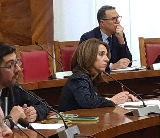 Lear, Chiorino al Mimit: “Dalla Regione misure efficaci per i lavoratori” Lear, Chiorino al Mimit: “Dalla Regione misure efficaci per i lavoratori”