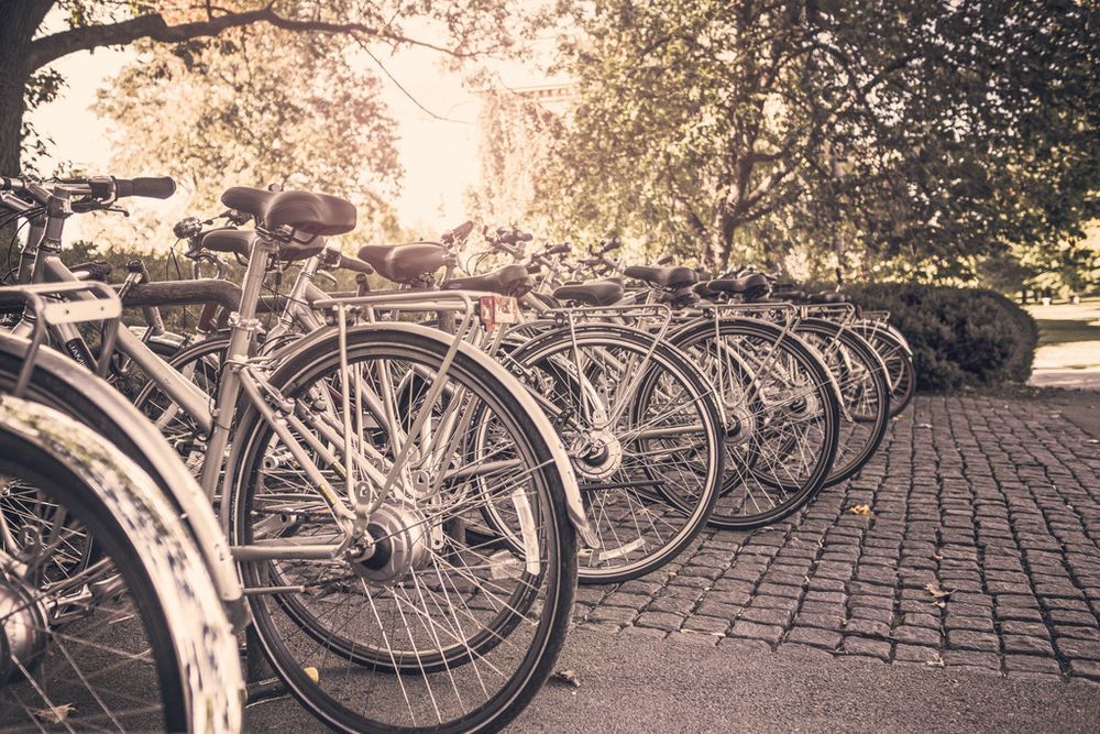 Settimana europea della mobilità: il Piemonte spinge su bici, pedoni e salute