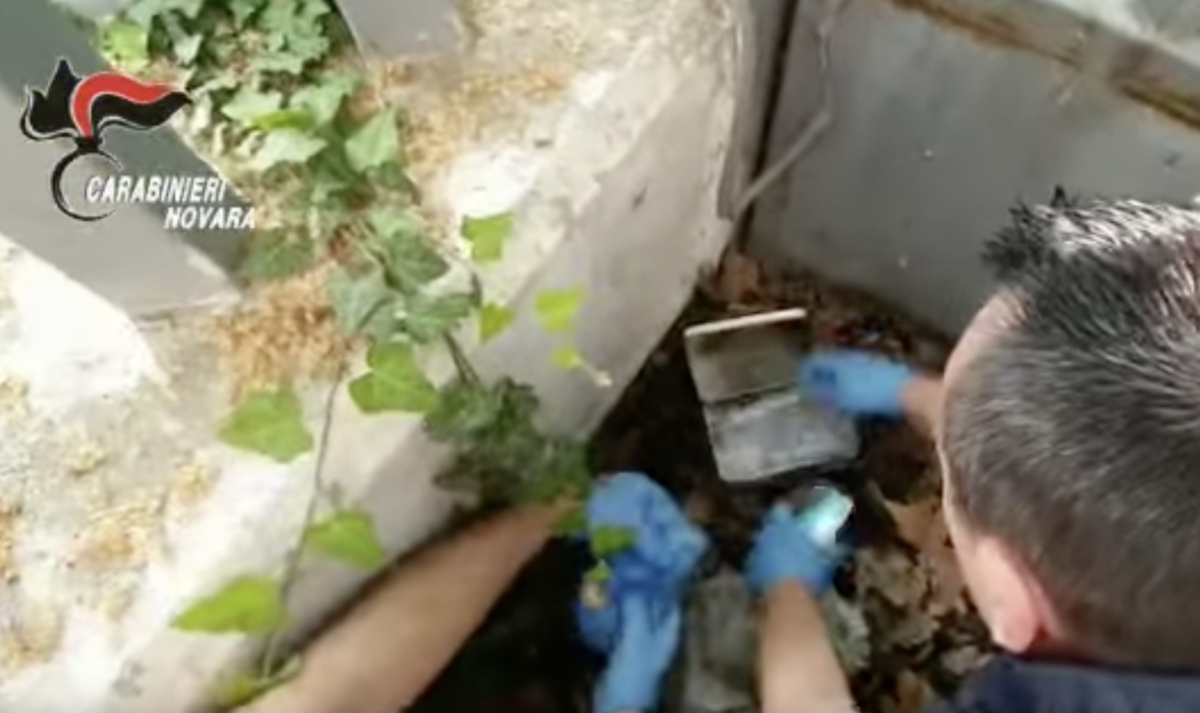 Maxioperazione antidroga a Novara: eseguite 26 misure cautelari. VIDEO Maxioperazione antidroga a Novara: eseguite 26 misure cautelari. VIDEO