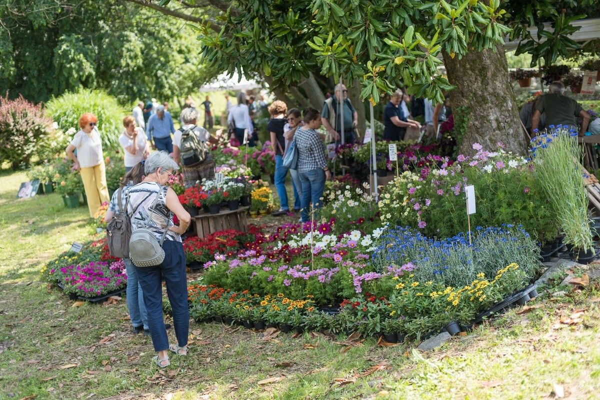 "Menta e Rosmarino": torna a Miasino il grande evento dedicato a piante e cultura green "Menta e Rosmarino": torna a Miasino il grande evento dedicato a piante e cultura green