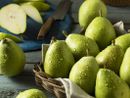 Coldiretti Piemonte, Frutta: caduta precoce delle pere a causa delle piogge Coldiretti Piemonte, Frutta: caduta precoce delle pere a causa delle piogge