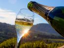 Coldiretti Piemonte: "No allo spumante tarocco, serve una legge chiara sull’origine dei vini" Coldiretti Piemonte: "No allo spumante tarocco, serve una legge chiara sull’origine dei vini"
