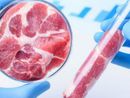 Tre italiani su quattro temono il controllo del cibo da parte delle grandi potenze finanziarie: l’allarme Coldiretti-Censis Tre italiani su quattro temono il controllo del cibo da parte delle grandi potenze finanziarie: l’allarme Coldiretti-Censis