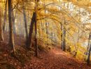 Previsioni per l’autunno: cosa ci aspetta? Le valutazioni di Arpa Piemonte.