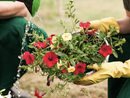 Import di fiori e piante in Italia raddoppiato in 5 anni: Coldiretti chiede reciprocità per tutelare i produttori nazionali Import di fiori e piante in Italia raddoppiato in 5 anni: Coldiretti chiede reciprocità per tutelare i produttori nazionali