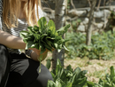 A Varallo Pombia torna la Festa dell’Agricoltura Biologica e Sociale: protagonisti natura, gusto e comunità
