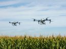 Via libera ai droni in agricoltura: una rivoluzione tecnologica per il settore