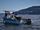 Da Lesa parte un progetto per rilanciare la pesca lacustre e valorizzare la filiera locale