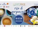 Exporice diventa “Riso &amp; Gorgonzola”: a settembre Novara celebra le sue eccellenze