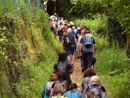 Girolago: Un'escursione autunnale tra natura, cultura e tradizioni