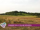 Sette domeniche tra colline, natura e racconti: al via il nuovo Cammina-tür Sette domeniche tra colline, natura e racconti: al via il nuovo Cammina-tür