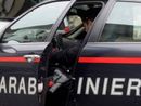 Denunciato per la distruzione di bosco per creare terreno agricolo lungo il Terdoppio
