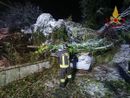 Maltempo sulla provincia di Novara: vigili del Fuoco intervengono per alberi caduti