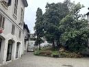 Pedalando per il Pianeta: Cinema a Pedali a Palazzo Faraggiana