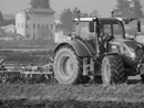 A Trecate anche la &quot;Fiera Agricola e Artigiana&quot;