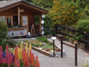 &quot;Orti Botanici, eccellenze Italiane&quot;: alla scoperta di un patrimonio naturalistico