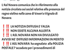 Falsa allerta sulla presenza di Ragni Violino crea paura a Novara: l'Asl smentisce