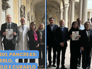 Tumore del pancreas: due giornate di prevenzione a Trecate e Cerano Tumore del pancreas: due giornate di prevenzione a Trecate e Cerano