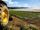 “Giovani in campo per coltivare comunità”: al via il nuovo progetto di Servizio Civile Agricolo “Giovani in campo per coltivare comunità”: al via il nuovo progetto di Servizio Civile Agricolo