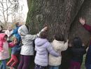 Dodici appuntamenti dedicati alla sostenibilità ambientale promossi dal Circolo Il Pioppo
