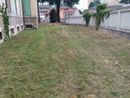 Avviato il taglio dell'erba nelle scuole superiori di Novara in vista degli esami di riparazione