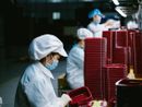 Export provinciale in leggera crescita nel primo trimestre 2024