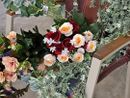 Iniziativa a Trecate, “porta un fiore a chi non ce l’ha”
