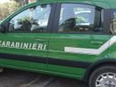Scoperta coltivazione di marijuana nel giardino di un’abitazione