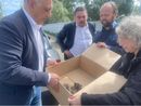 Canelli racconta sui social la vicenda di tre gattini messi in salvo