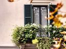 Novara fiorisce con la seconda edizione di Balconi in fiore: al via le iscrizioni
