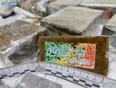 Arrestato un cittadino albanese scoperto con oltre 24 Kg di hashish e marijuana