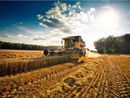 Servizio civile agricolo, otto posti nel Novarese tra Egap, Bonfantini e Museo Fanchini Servizio civile agricolo, otto posti nel Novarese tra Egap, Bonfantini e Museo Fanchini