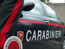Carabinieri, il comando provinciale di Novara accoglie otto nuovi marescialli Carabinieri, il comando provinciale di Novara accoglie otto nuovi marescialli