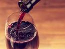 “Le vigne del Mottarone”: ad Arona un viaggio tra storia, cultura e vino del territorio “Le vigne del Mottarone”: ad Arona un viaggio tra storia, cultura e vino del territorio