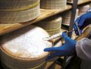 Novara, la città che da oltre 50 anni custodisce il vero Gorgonzola Dop Novara, la città che da oltre 50 anni custodisce il vero Gorgonzola Dop