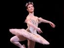 Novara Dance Experience: i grandi nomi della danza mondiale arrivano in città