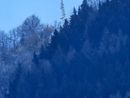L'Unione degli Enti montani rilancia la mappatura delle aree senza segnale telefonico