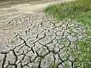 Coldiretti Piemonte lancia l'allarme: &quot;I cambiamenti climatici mettono a rischio produzione e occupazione&quot;