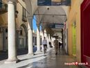 A Novara una &quot;promenade&quot; dedicata agli amici a quattro zampe