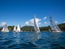Vela Viva 15, record di partecipazione tra i laghi del Nord-Ovest Vela Viva 15, record di partecipazione tra i laghi del Nord-Ovest
