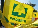 Coldiretti Piemonte lancia il manifesto delle priorità per l'agricoltura in vista delle elezioni Europee