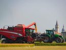 Fiera agricola e artigiana di Trecate: ancora pochi giorni per le adesioni