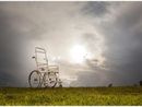 Dalla provincia un bando rivolto alle associazioni sportive per sostenere progetti a favore della disabilità