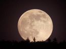 Il cielo di ottobre regala la “Luna del raccolto” Il cielo di ottobre regala la “Luna del raccolto”