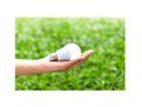 Ecolamp, nel 2024 cinque tonnellate di lampadine esauste raccolte nel novarese