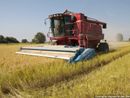 Marco Protopapa (Lega): “Difendere l’agricoltura italiana dalle derive ideologiche della nuova Pac europea” Marco Protopapa (Lega): “Difendere l’agricoltura italiana dalle derive ideologiche della nuova Pac europea”