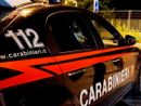 Furti di metalli in azienda a Cavaria e Lonate Pozzolo: ventitreenne residente nel novarese in manette Furti di metalli in azienda a Cavaria e Lonate Pozzolo: ventitreenne residente nel novarese in manette